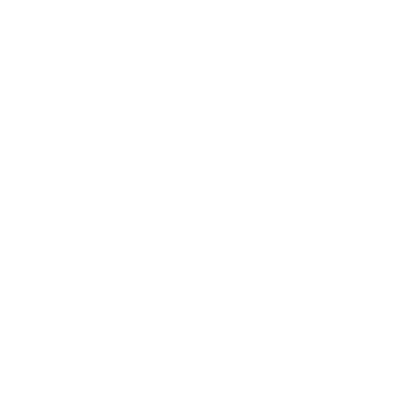 LIDER AVIAÇÃO
